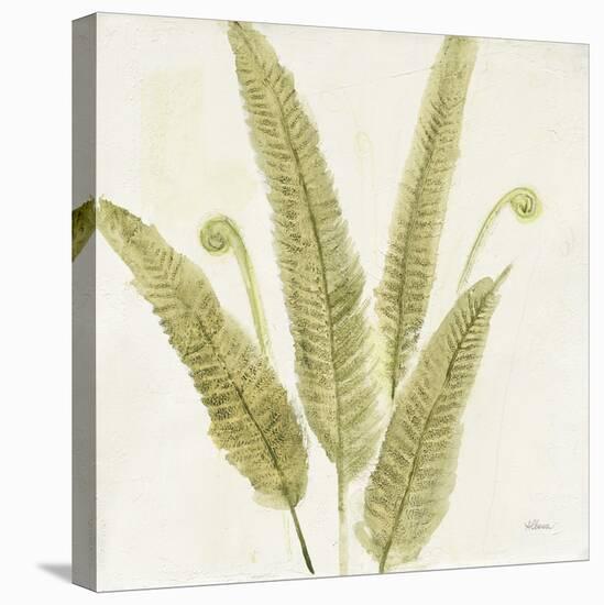 Forest Ferns II-Albena Hristova-Stretched Canvas