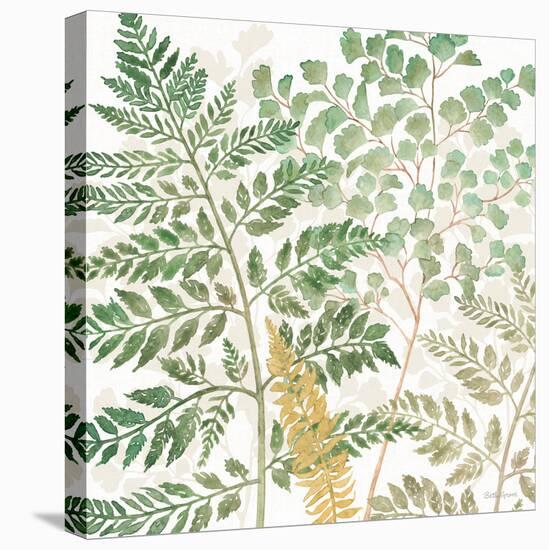 Forest Finds VI-Beth Grove-Stretched Canvas