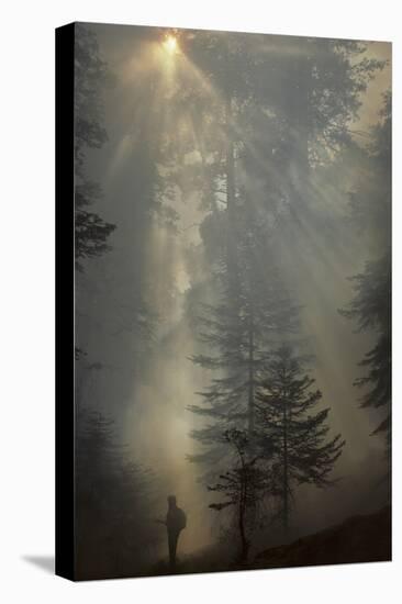 Forest Fire, Sequoia and Kings Canyon National Park, California, USA-Gerry Reynolds-Premier Image Canvas