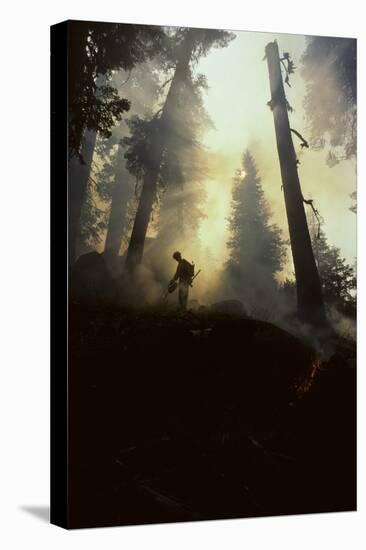 Forest Fire, Sequoia and Kings Canyon National Park, California, USA-Gerry Reynolds-Premier Image Canvas