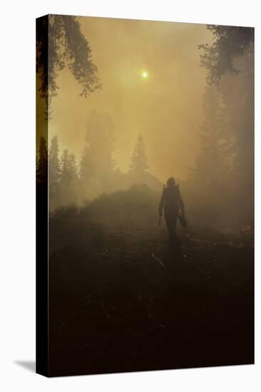 Forest Fire, Sequoia and Kings Canyon National Park, California, USA-Gerry Reynolds-Premier Image Canvas