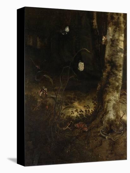 Forest Floor with a Snake, Lizards, Butterflies and Other Insects-Otto Marseus Van Schrieck-Stretched Canvas