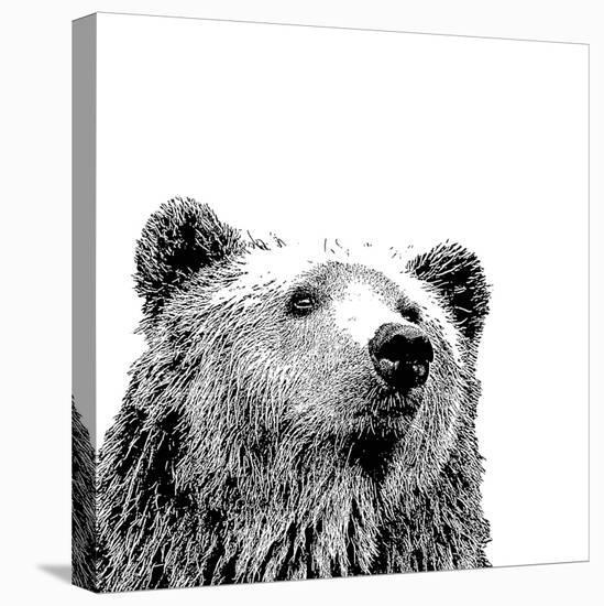 Forest Focus - Bear-Myriam Tebbakha-Stretched Canvas