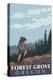 Forest Grove, Oregon - Mountain Hiker-Lantern Press-Stretched Canvas