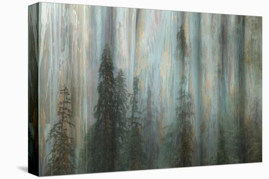 Forest II-Kathy Mahan-Premier Image Canvas