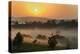 Forest in morning mist, Kibale National Park, Uganda-Keren Su-Premier Image Canvas