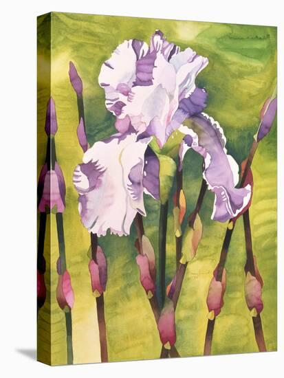 Forest Iris-Mary Russel-Premier Image Canvas