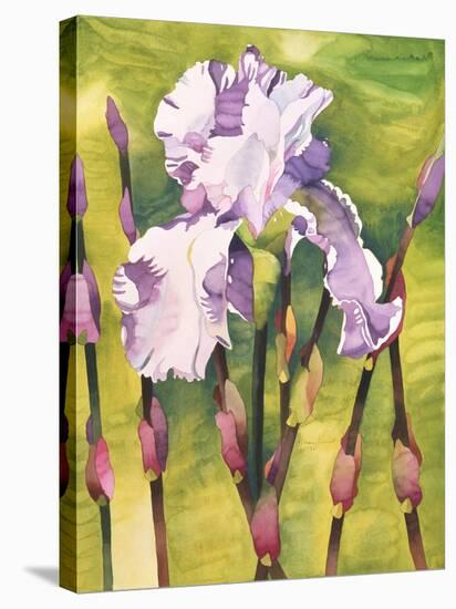 Forest Iris-Mary Russel-Premier Image Canvas