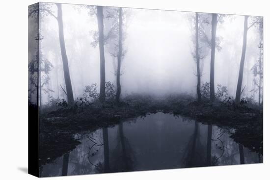 Forest Mist-PhotoINC Studio-Premier Image Canvas