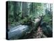 Forest, Natural, Germany-Thonig-Premier Image Canvas