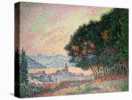 Forest Near St. Tropez, 1902-Paul Signac-Premier Image Canvas