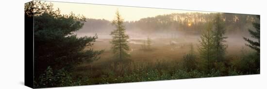 Forest, Northern Highland-American Legion State Forest, Vilas County, Wisconsin, USA-null-Premier Image Canvas