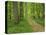 Forest of Chambord, Loir Et Cher, Loire Centre, France-Michael Busselle-Premier Image Canvas