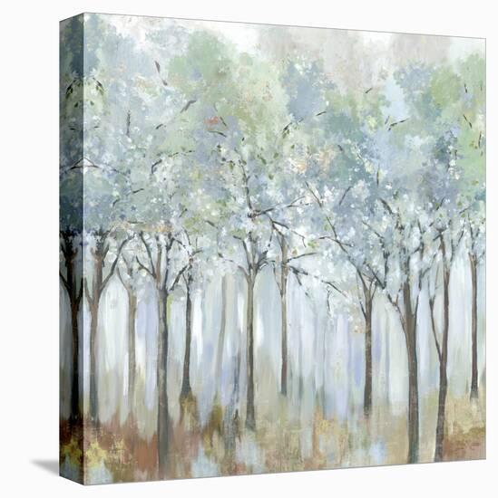 Forest of Light-Allison Pearce-Stretched Canvas