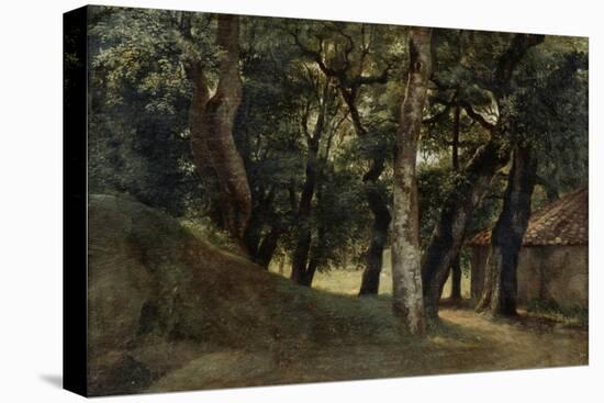 Forest of the Villa Borghese, Late 18Th/Early 19th Century-Pierre Henri de Valenciennes-Premier Image Canvas