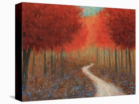 Forest Pathway Crop-James Wiens-Stretched Canvas