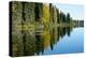 Forest Reflection in Lake-Latitude 59 LLP-Premier Image Canvas