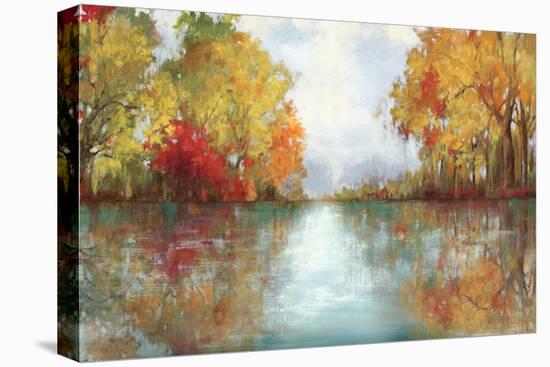 Forest Reflection-Andrew Michaels-Stretched Canvas