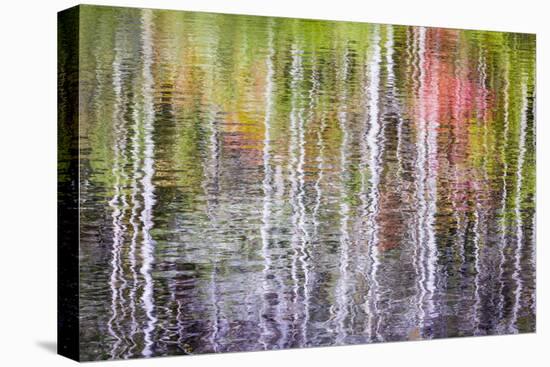 Forest Reflections II-Kathy Mahan-Premier Image Canvas