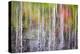 Forest Reflections II-Kathy Mahan-Premier Image Canvas