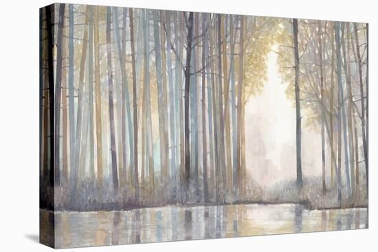 Forest Reflections-Norman Wyatt Jr^-Stretched Canvas