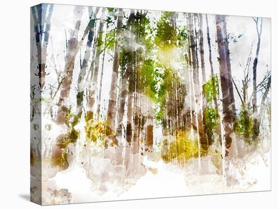 Forest Road II-Chamira Young-Stretched Canvas