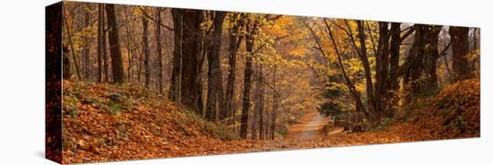 Forest Road Pittsfield Ma-null-Stretched Canvas