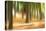 Forest Run III-James McLoughlin-Premier Image Canvas