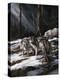 Forest Shadows-Trevor V. Swanson-Premier Image Canvas