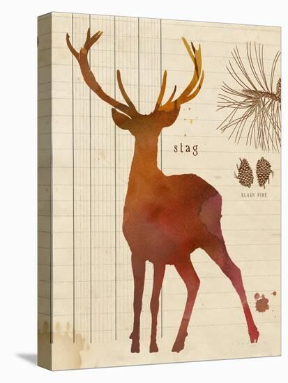 Forest Stag-Z Studio-Stretched Canvas