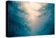 Forest Trees in Fog-Andy Bell-Premier Image Canvas