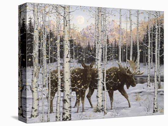 Forest Twilight-Jeff Tift-Premier Image Canvas