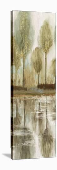 Forest View I-Allison Pearce-Stretched Canvas