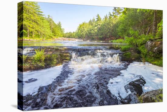 Forest Waterfall-Vadim Petrov-Premier Image Canvas