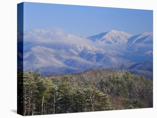 Forest with Snowcapped Mountains in Background, Great Smoky Mountains National Park, Tennessee-Adam Jones-Premier Image Canvas