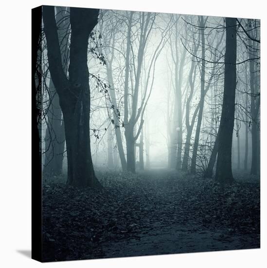 Forest-Mark Ashkenazi-Premier Image Canvas