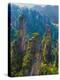 Forested Sandstone Pinnacles, Zhangjiajie National Forest Park, Hunnan, China-Charles Crust-Premier Image Canvas