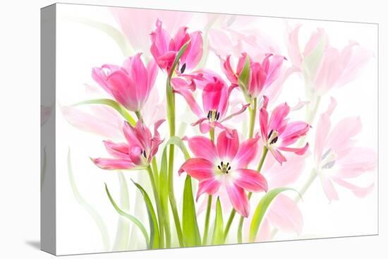 Forever Spring-Jacky Parker-Premier Image Canvas