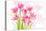 Forever Spring-Jacky Parker-Premier Image Canvas