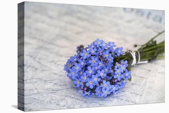 Forget-Me-Not, Bunch-Andrea Haase-Premier Image Canvas