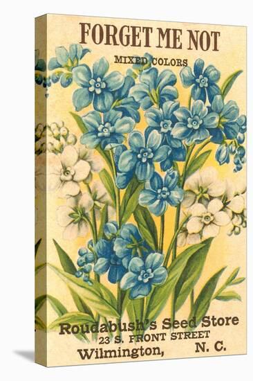 Forget Me Not Seed Packet-null-Stretched Canvas