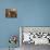 Forget-Me-Not-Wilson Hepple-Premier Image Canvas displayed on a wall