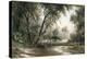 Forked Creek-Art Fronckowiak-Stretched Canvas