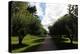 Formal Hudson River Garden-Robert Goldwitz-Premier Image Canvas