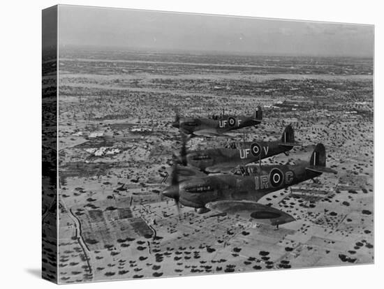 Formation of Spitfires Over North Africa, circa 1943-null-Stretched Canvas