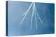 Formation Parachuting with Smoke-Sheila Haddad-Premier Image Canvas