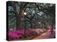 Forsythe Park-Winthrope Hiers-Premier Image Canvas