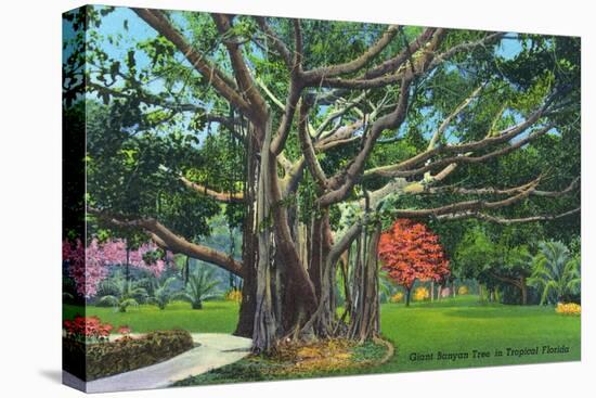 Fort Myers, Florida - View of a Giant Banyan Tree, c.1948-Lantern Press-Stretched Canvas