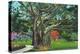 Fort Myers, Florida - View of a Giant Banyan Tree, c.1948-Lantern Press-Stretched Canvas