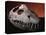 Fossil Crocodile Skull-Layne Kennedy-Premier Image Canvas